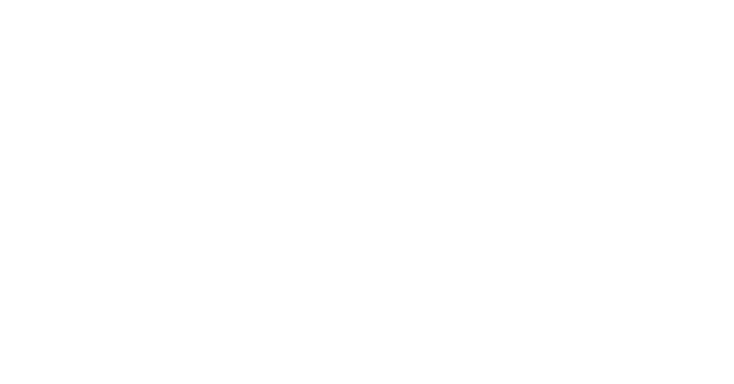 Logo Parceiro 8
